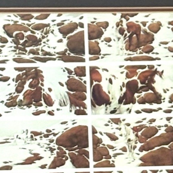 Bev Doolittle "Hide And Seek" Framed Print - Picture 12 of 16